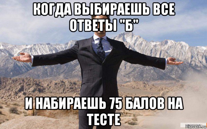 когда выбираешь все ответы "б" и набираешь 75 балов на тесте, Мем железный человек