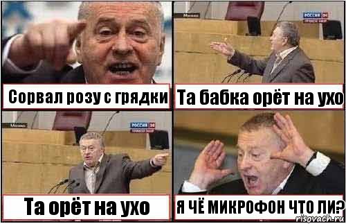 Сорвал розу с грядки Та бабка орёт на ухо Та орёт на ухо Я ЧЁ МИКРОФОН ЧТО ЛИ?, Комикс жиреновский