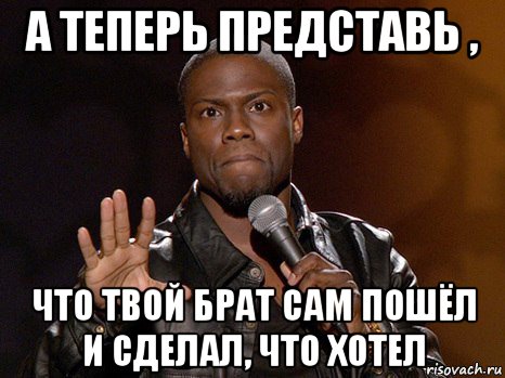 а теперь представь , что твой брат сам пошёл и сделал, что хотел, Мем  А теперь представь