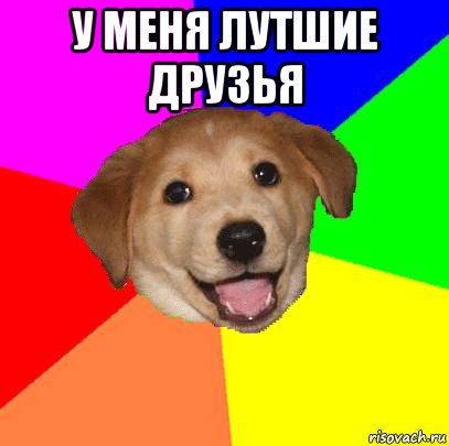 у меня лутшие друзья , Мем Advice Dog