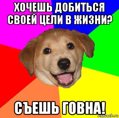 хочешь добиться своей цели в жизни? съешь говна!, Мем Advice Dog