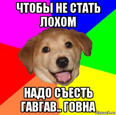 чтобы не стать лохом надо съесть гавгав.. говна, Мем Advice Dog