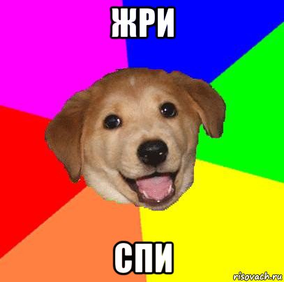 жри спи, Мем Advice Dog