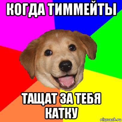 когда тиммейты тащат за тебя катку, Мем Advice Dog