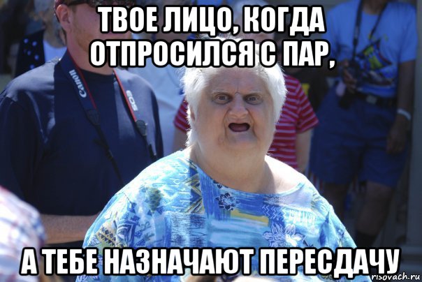 твое лицо, когда отпросился с пар, а тебе назначают пересдачу, Мем Шта (Бабка wat)