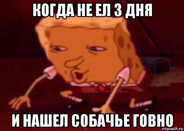 когда не ел 3 дня и нашел собачье говно, Мем    Bettingmemes