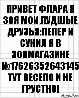 привет флара я зоя мои лудшые друзья:пепер и сунил я в зоомагазине №17626352643145 тут весело и не грустно!, Комикс  бумага