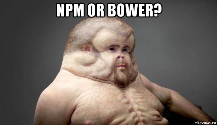 npm or bower? , Мем  Человек который выживет в лбом ДТП
