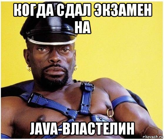 когда сдал экзамен на java-властелин, Мем Черный властелин