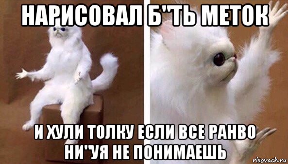 нарисовал б"ть меток и хули толку если все ранво ни"уя не понимаешь, Мем Чучело кота