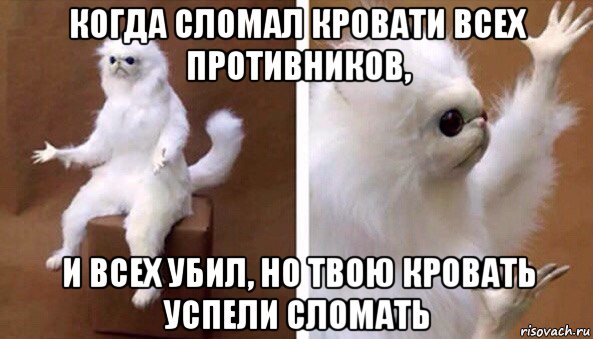 когда сломал кровати всех противников, и всех убил, но твою кровать успели сломать, Мем Чучело кота