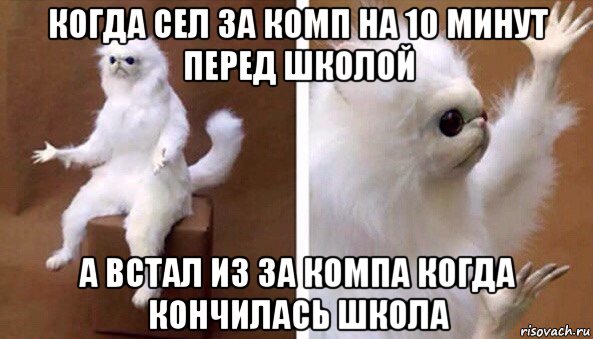 когда сел за комп на 10 минут перед школой а встал из за компа когда кончилась школа, Мем Чучело кота