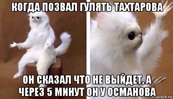 когда позвал гулять тахтарова он сказал что не выйдет, а через 5 минут он у османова, Мем Чучело кота