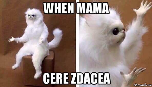 when mama cere zdacea, Мем Чучело кота