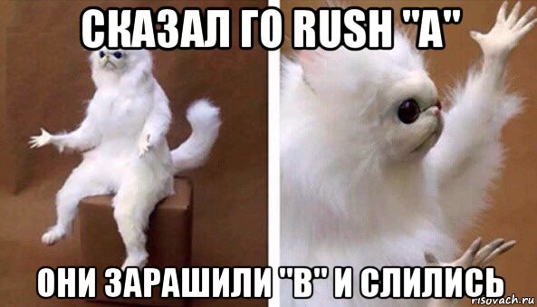 сказал го rush "a" они зарашили "b" и слились, Мем Чучело кота