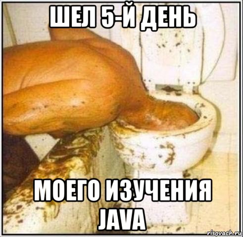 шел 5-й день моего изучения java, Мем Дайвер