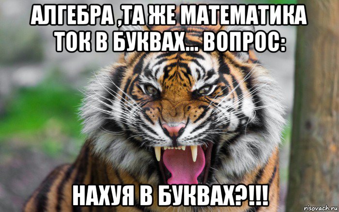 алгебра ,та же математика ток в буквах... вопрос: нахуя в буквах?!!!, Мем ДЕРЗКИЙ ТИГР