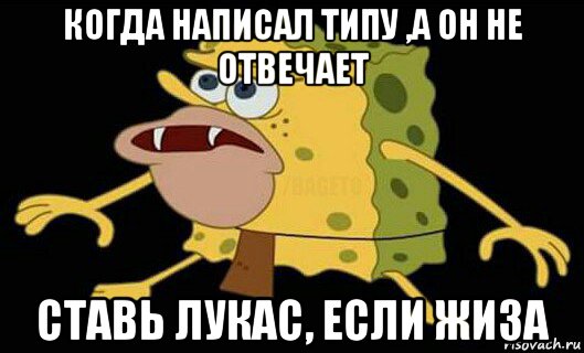 когда написал типу ,а он не отвечает ставь лукас, если жиза, Мем Дикий спанч боб