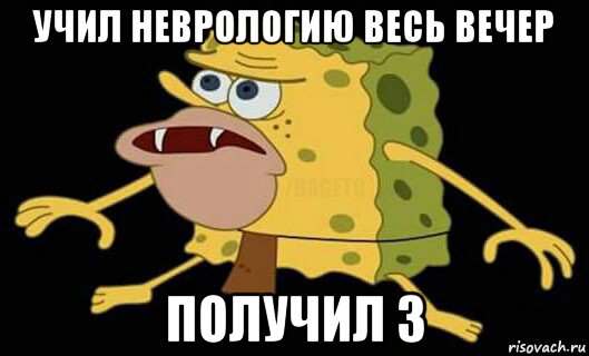 учил неврологию весь вечер получил 3, Мем Дикий спанч боб