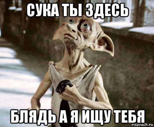 сука ты здесь блядь а я ищу тебя