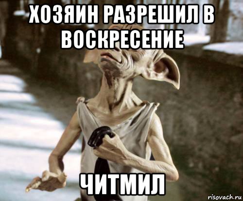 хозяин разрешил в воскресение читмил