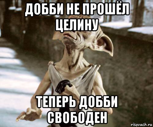 добби не прошёл целину теперь добби свободен