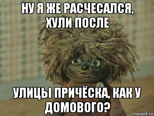 ну я же расчесался, хули после улицы причёска, как у домового?, Мем Домовенок Кузя