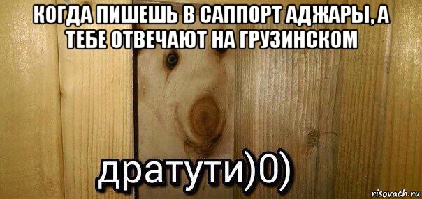 когда пишешь в саппорт аджары, а тебе отвечают на грузинском , Мем  Дратути