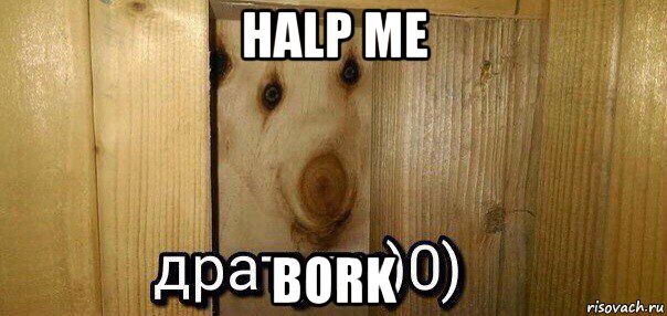 halp me bork, Мем  Дратути