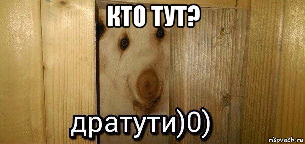 кто тут? , Мем  Дратути