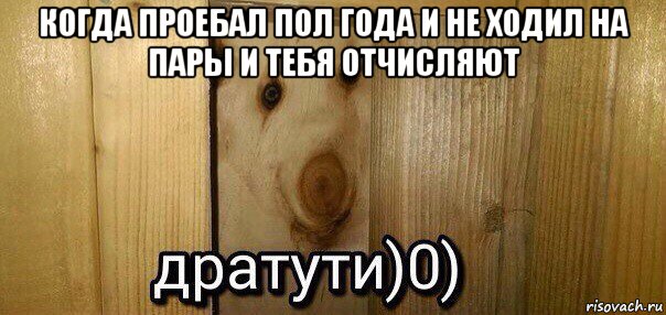 когда проебал пол года и не ходил на пары и тебя отчисляют , Мем  Дратути