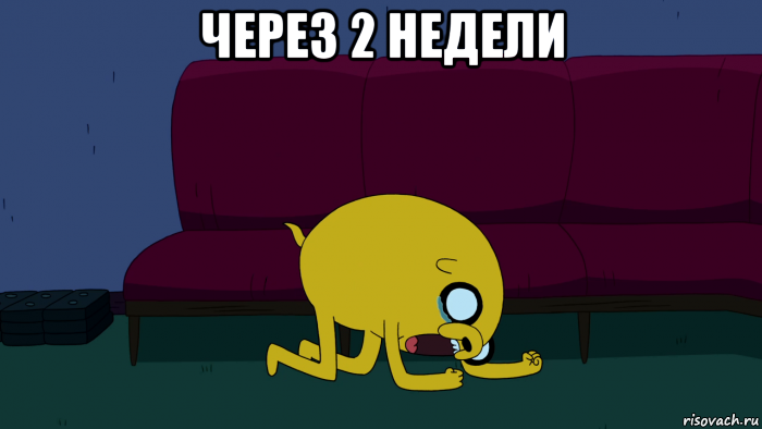 через 2 недели , Мем     джейк плачет