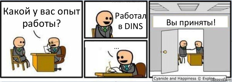 Какой у вас опыт работы? Работал в DINS ... Вы приняты!, Комикс Собеседование на работу