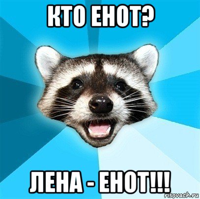 кто енот? лена - енот!!!