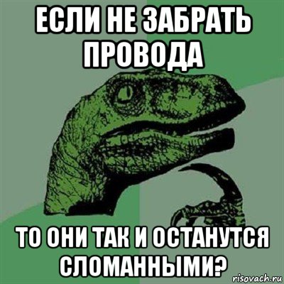 если не забрать провода то они так и останутся сломанными?, Мем Филосораптор