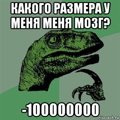 какого размера у меня меня мозг? -100000000, Мем Филосораптор