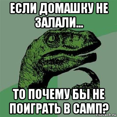 если домашку не залали... то почему бы не поиграть в самп?, Мем Филосораптор