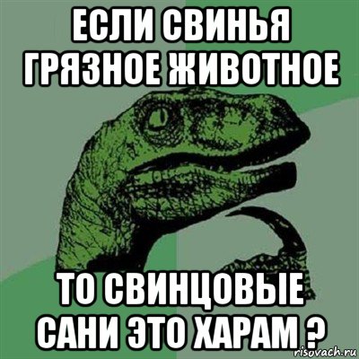 если свинья грязное животное то свинцовые сани это харам ?, Мем Филосораптор