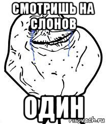 смотришь на слонов один, Мем Forever Alone