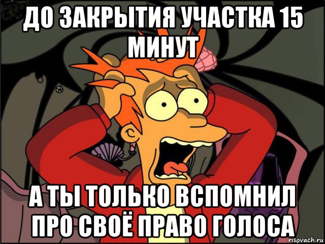 до закрытия участка 15 минут а ты только вспомнил про своё право голоса, Мем Фрай в панике