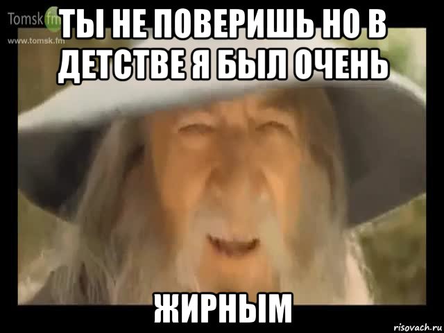 ты не поверишь но в детстве я был очень жирным, Мем Гендальф доставляет