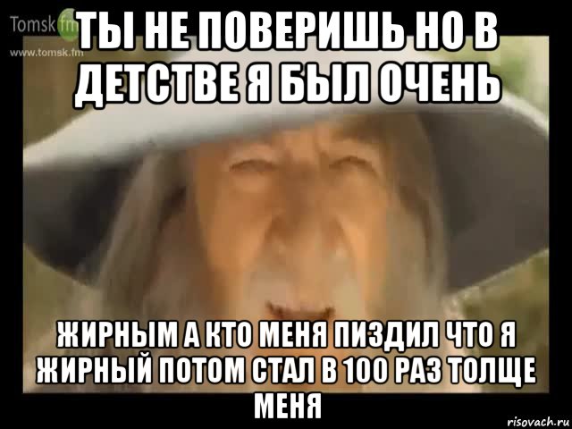 ты не поверишь но в детстве я был очень жирным а кто меня пиздил что я жирный потом стал в 100 раз толще меня, Мем Гендальф доставляет