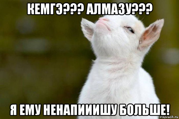 кемгэ??? алмазу??? я ему ненапииишу больше!, Мем  Гордый козленок