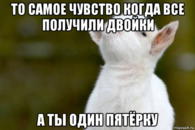 то самое чувство когда все получили двойки а ты один пятёрку, Мем  Гордый козленок