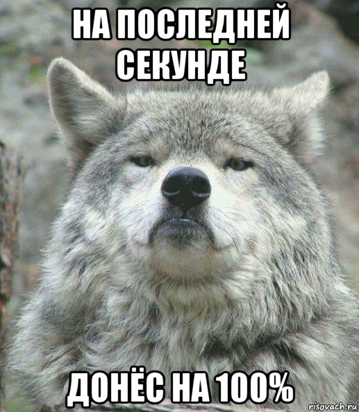 на последней секунде донёс на 100%, Мем    Гордый волк