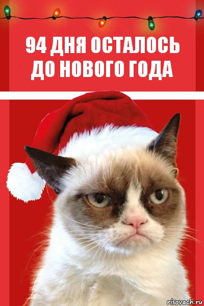 94 дня осталось до нового года, Комикс  Grumpy cat new year