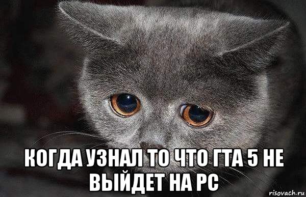  когда узнал то что гта 5 не выйдет на pc, Мем  Грустный кот