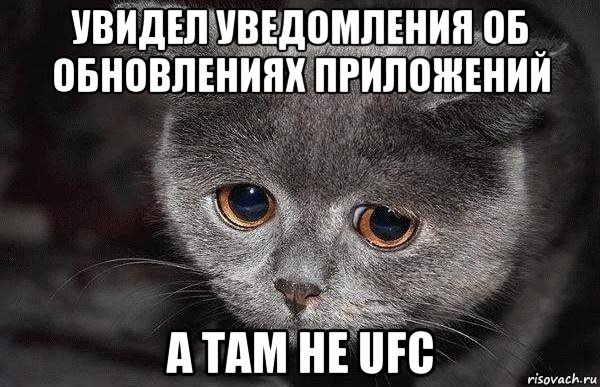 увидел уведомления об обновлениях приложений а там не ufc, Мем  Грустный кот