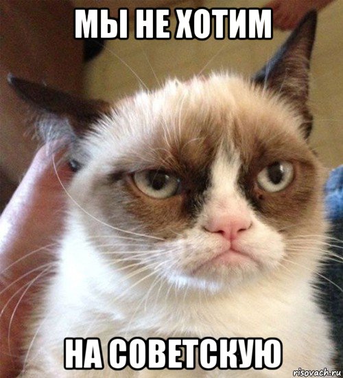 мы не хотим на советскую, Мем Грустный (сварливый) кот