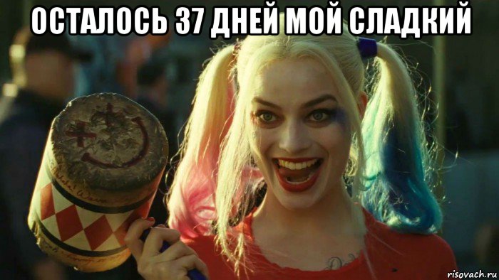 осталось 37 дней мой сладкий , Мем    Harley quinn